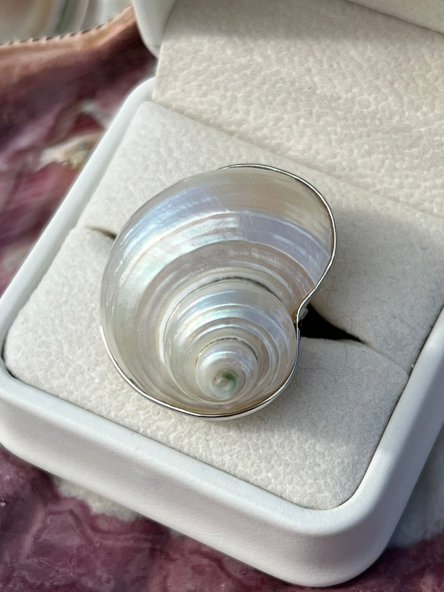 Calypso's Shell Ring