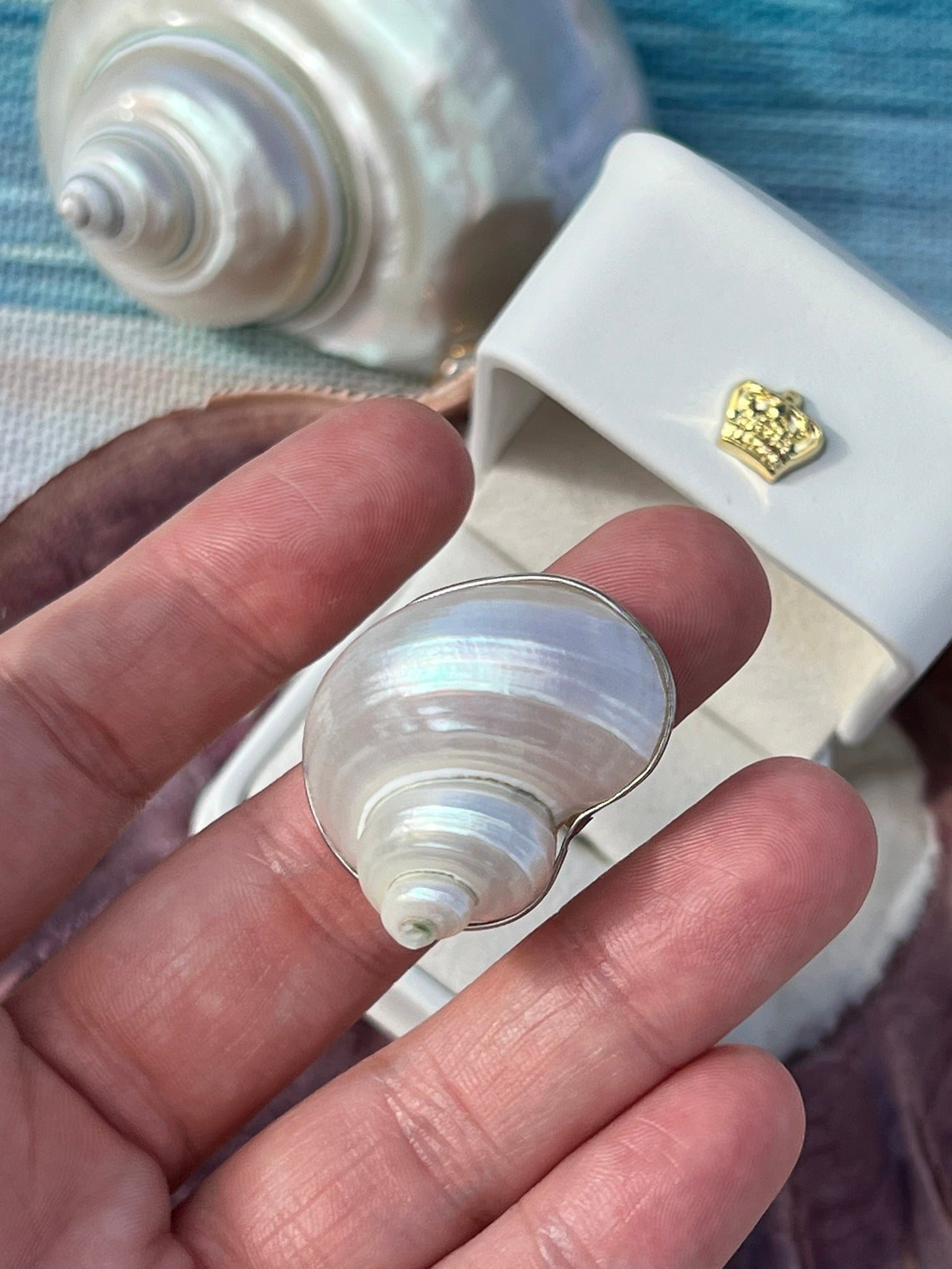 Calypso's Shell Ring